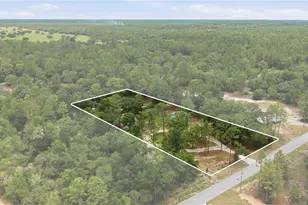6870 SW 206th Ave, Dunnellon, FL 34431 - Photo 2