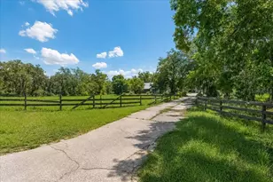 18890 SW 44th St, Dunnellon, FL 34432 - Photo 42