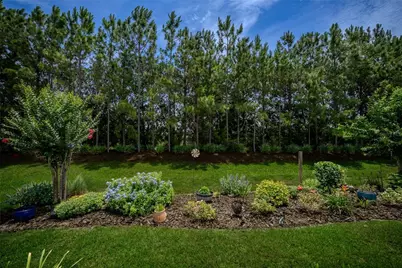 9145 SW 70th Loop, Ocala, FL 34481 - Photo 32