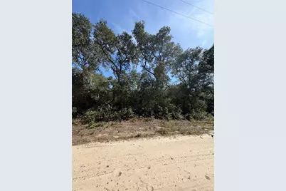 Tbd NE 234 Place, Fort Mc Coy, FL 32134 - Photo 4