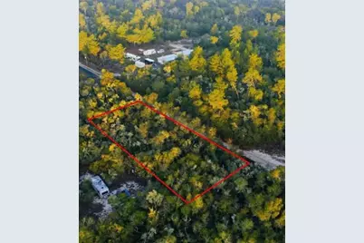 Tbd NE 234 Place, Fort Mc Coy, FL 32134 - Photo 1