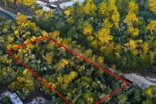 Tbd NE 234 Pl, Fort Mc Coy, FL 32134 - Photo 1