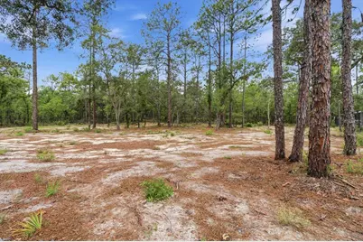 16125 Magpie Road, Weeki Wachee, FL 34614 - Photo 40