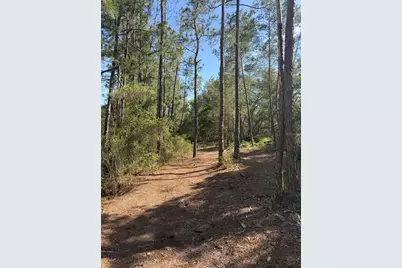 Tbd NE 114 Ave Road, Fort Mc Coy, FL 32134 - Photo 2