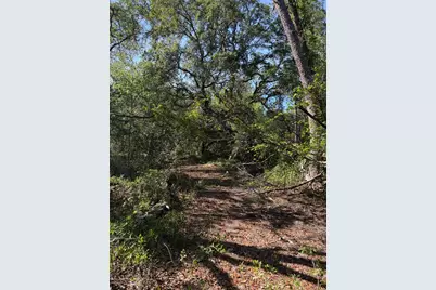 Tbd NE 114 Ave Road, Fort Mc Coy, FL 32134 - Photo 4