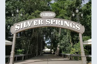 4300 NE 132nd Court, Silver Springs, FL 34488 - Photo 44