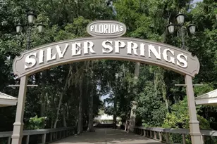 4300 NE 132nd Ct, Silver Springs, FL 34488 - Photo 44