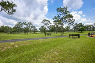 2925 W Birds Nest Dr, Beverly Hills, FL 34465 - Photo 46