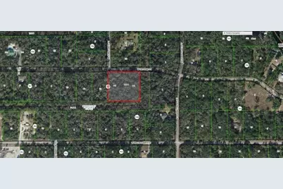 11924 W Deodar Street, Crystal River, FL 34428 - Photo 2