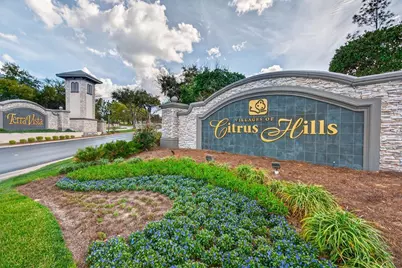 1105 W Pointe Vista Path #43, Hernando, FL 34442 - Photo 46