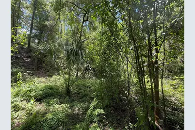 Sw 53rd Pl, Ocala, FL 34481 - Photo 10