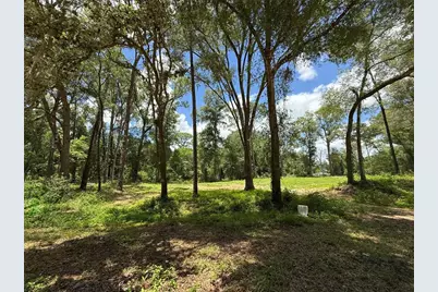 Sw 53rd Pl, Ocala, FL 34481 - Photo 8
