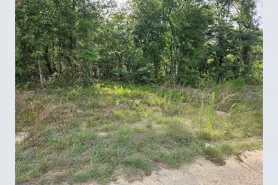 Tbd NE 153rd Avenue, Williston, FL 32696 - Photo 2