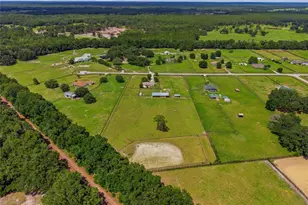 19630 SE 15th Pl, Morriston, FL 32668 - Photo 54