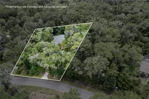 7999 SW 187th Ave, Dunnellon, FL 34432 - Photo 44