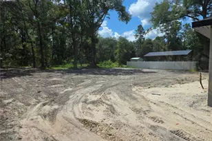 11491 NW 92 Ct, Chiefland, FL 32626 - Photo 4