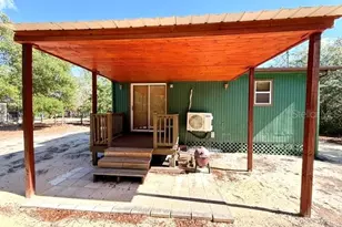 15920 NE 236th Ln, Fort Mc Coy, FL 32134 - Photo 4
