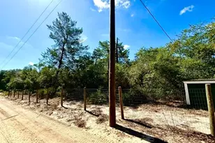 15920 NE 236th Ln, Fort Mc Coy, FL 32134 - Photo 22