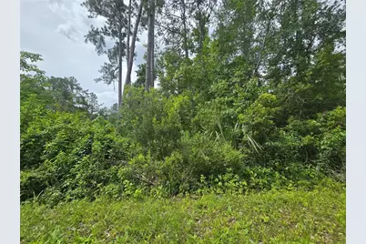 320 Sequoia Drive, Ocklawaha, FL 32179 - Photo 1