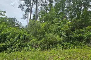 320 Sequoia Dr, Ocklawaha, FL 32179 - Photo 1