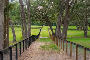 11140 NW 160th Ave, Morriston, FL 32668 - Photo 52