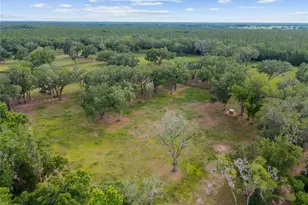 11140 NW 160th Ave, Morriston, FL 32668 - Photo 46