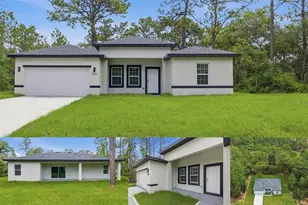 9333 N Samoa Way, Citrus Springs, FL 34433 - Photo 34