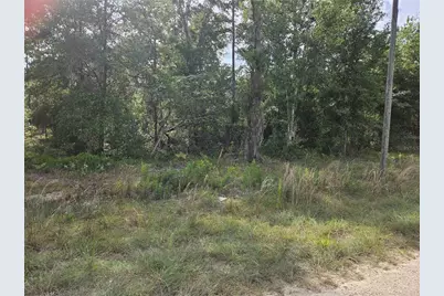 Tbd NE 153rd Avenue, Williston, FL 32696 - Photo 2