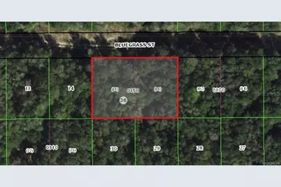 2305 Bluegrass Street, Inverness, FL 34453 - Photo 2