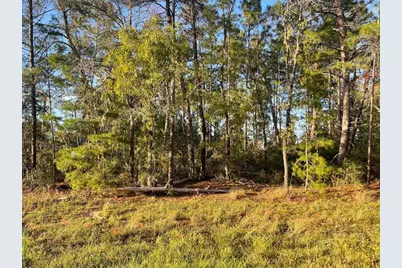 0 SW 157th Street, Ocala, FL 34473 - Photo 4