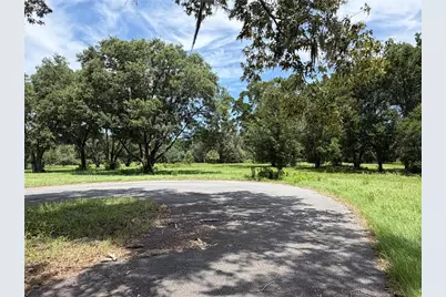 12870 NW 28th Avenue, Reddick, FL 32686 - Photo 6