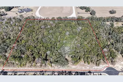 Irvine Acres #5 (13Ac) W Hwy 318, Reddick, FL 32686 - Photo 8