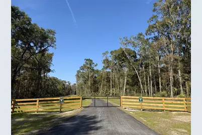 Irvine Acres #5 (13Ac) W Hwy 318, Reddick, FL 32686 - Photo 10