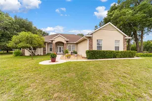 435 NE 155th Street Rd, Citra, FL 32113 - Photo 1