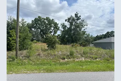 Tbd Larch Course Terrace, Ocala, FL 34480 - Photo 8