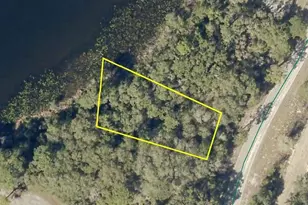 Lot 37 Malauka Rad, Ocklawaha, FL 32179 - Photo 1