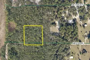 0 NE 192 Pl, Citra, FL 32113 - Photo 1