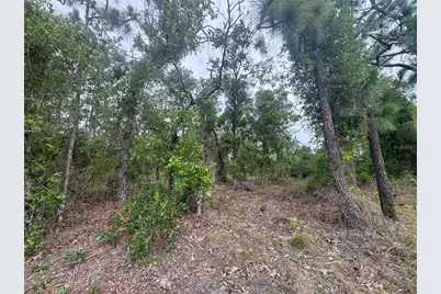 0 SW Egdewater Boulevard, Dunnellon, FL 34431 - Photo 8