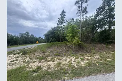 0 SW Egdewater Boulevard, Dunnellon, FL 34431 - Photo 2