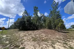 0 SW Egdewater Blvd, Dunnellon, FL 34431 - Photo 1