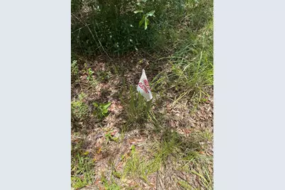 Sw 67 Lane & SW 131 Cir, Ocala, FL 34481 - Photo 2