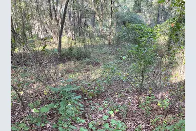 Lots 11.12 SW Shorewood Drive, Dunnellon, FL 34431 - Photo 12