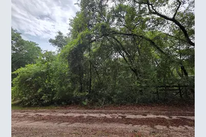 000 NE 138th Terrace, Fort Mc Coy, FL 32134 - Photo 2