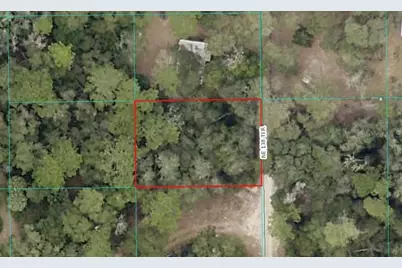 000 NE 138th Terrace, Fort Mc Coy, FL 32134 - Photo 8
