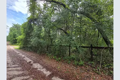 000 NE 138th Terrace, Fort Mc Coy, FL 32134 - Photo 4