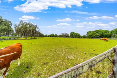 2285 W Highway 318, Citra, FL 32113 - Photo 92