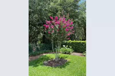 7981 SW 81st Loop, Ocala, FL 34476 - Photo 34