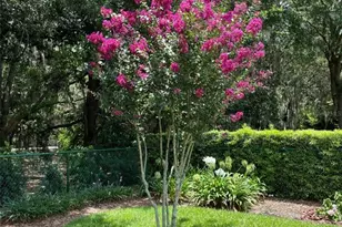 7981 SW 81st Loop, Ocala, FL 34476 - Photo 34