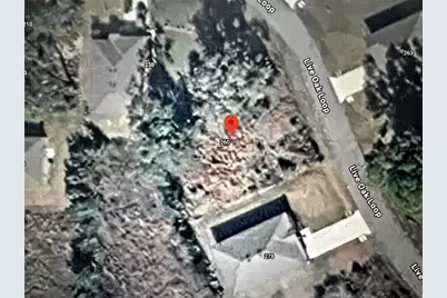 260 Live Oak Loop, Crescent City, FL 32112 - Photo 4