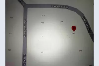260 Live Oak Loop, Crescent City, FL 32112 - Photo 12